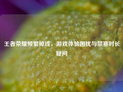 王者荣耀频繁掉线，游戏体验困扰与禁赛时长疑问