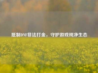 抵制DNF非法打金，守护游戏纯净生态