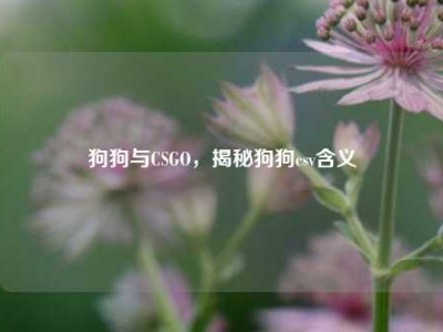 狗狗与CSGO，揭秘狗狗csv含义