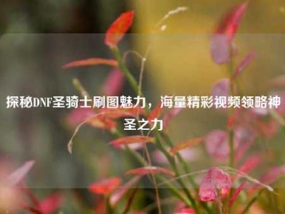 探秘DNF圣骑士刷图魅力，海量精彩视频领略神圣之力