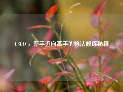 CSGO ，新手迈向高手的枪法修炼秘籍