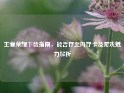 王者荣耀下载指南，能否存至内存卡及游戏魅力解析