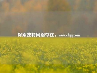 探索独特网络存在，www.cfqq.com