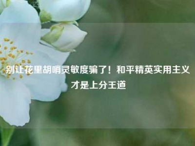别让花里胡哨灵敏度骗了！和平精英实用主义才是上分王道