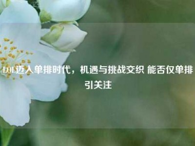 LOL迈入单排时代，机遇与挑战交织 能否仅单排引关注