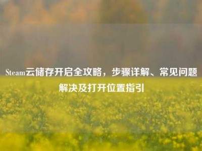 Steam云储存开启全攻略，步骤详解、常见问题解决及打开位置指引