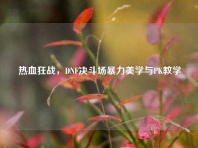 热血狂战，DNF决斗场暴力美学与PK教学