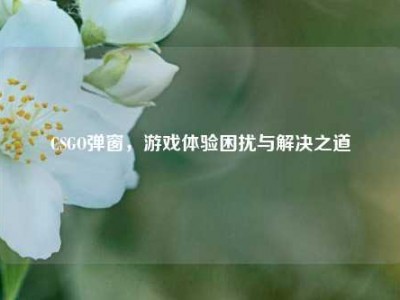 CSGO弹窗，游戏体验困扰与解决之道