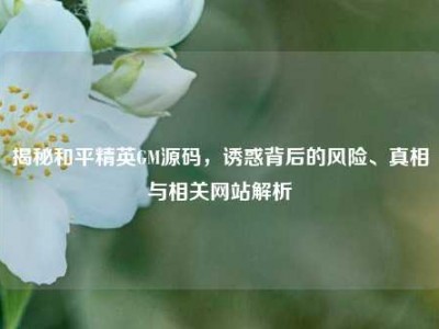 揭秘和平精英GM源码，诱惑背后的风险、真相与相关网站解析