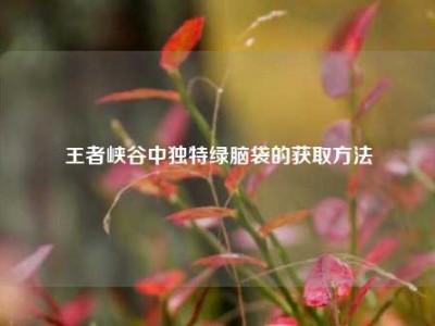 王者峡谷中独特绿脑袋的获取方法