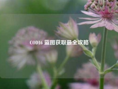 COD16 蓝图获取最全攻略