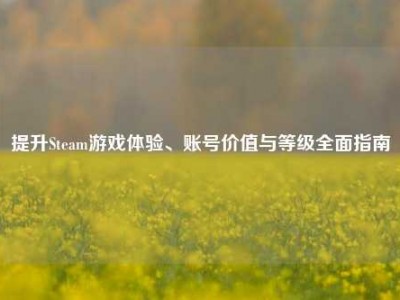 提升Steam游戏体验、账号价值与等级全面指南