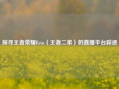 探寻王者荣耀Erin（王者二弟）的直播平台踪迹