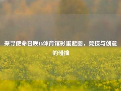 探寻使命召唤16体育馆彩蛋蓝图，竞技与创意的碰撞
