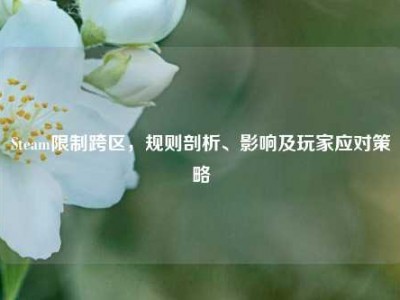 Steam限制跨区，规则剖析、影响及玩家应对策略