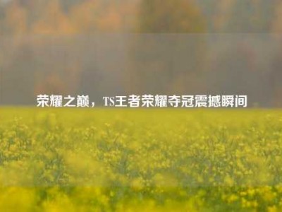 荣耀之巅，TS王者荣耀夺冠震撼瞬间