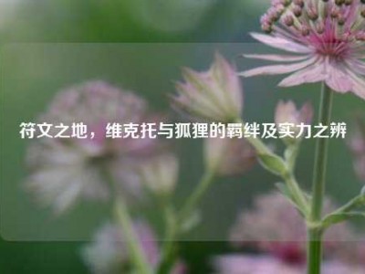 符文之地，维克托与狐狸的羁绊及实力之辨