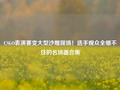 CSGO表演赛变大型沙雕现场！选手观众全绷不住的名场面合集