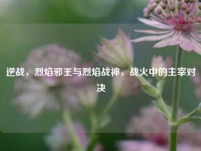 逆战，烈焰邪王与烈焰战神，战火中的主宰对决