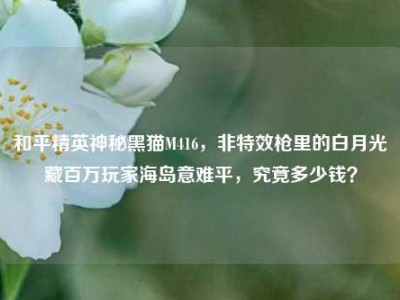 和平精英神秘黑猫M416，非特效枪里的白月光藏百万玩家海岛意难平，究竟多少钱？