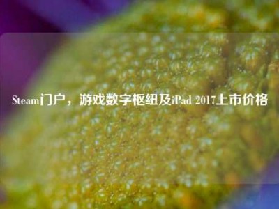 Steam门户，游戏数字枢纽及iPad 2017上市价格
