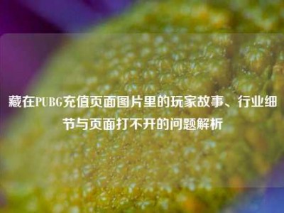 藏在PUBG充值页面图片里的玩家故事、行业细节与页面打不开的问题解析