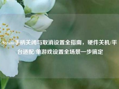 Steam手柄关闭与取消设置全指南，硬件关机/平台适配/单游戏设置全场景一步搞定