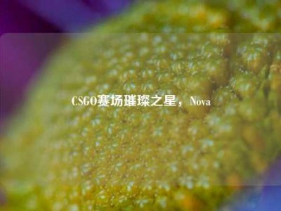 CSGO赛场璀璨之星，Nova