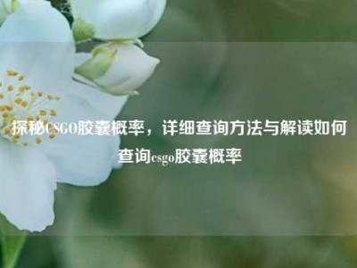 探秘CSGO胶囊概率，详细查询方法与解读如何查询csgo胶囊概率