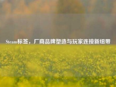 Steam标签，厂商品牌塑造与玩家连接新纽带