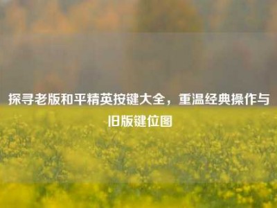 探寻老版和平精英按键大全，重温经典操作与旧版键位图