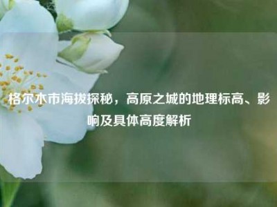 格尔木市海拔探秘，高原之城的地理标高、影响及具体高度解析