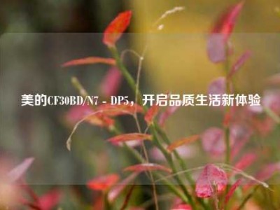 美的CF30BD/N7 - DP5，开启品质生活新体验