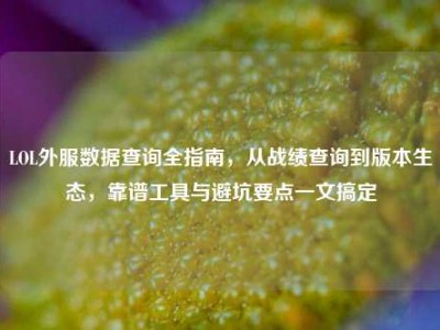 LOL外服数据查询全指南，从战绩查询到版本生态，靠谱工具与避坑要点一文搞定