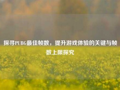 探寻PUBG最佳帧数，提升游戏体验的关键与帧数上限探究