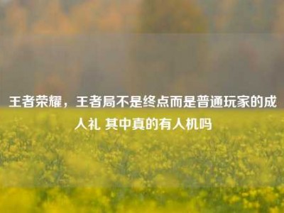 王者荣耀，王者局不是终点而是普通玩家的成人礼 其中真的有人机吗