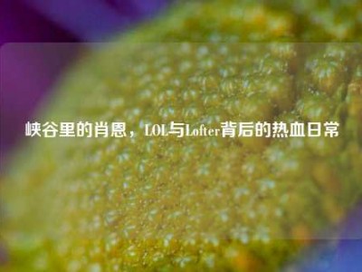 峡谷里的肖恩，LOL与Lofter背后的热血日常