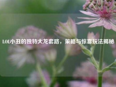 LOL小丑的独特大龙套路，策略与惊喜玩法揭秘