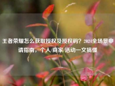 王者荣耀怎么获取授权及授权码？2024全场景申请指南，个人/商家/活动一文搞懂