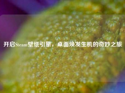 开启Steam壁纸引擎，桌面焕发生机的奇妙之旅