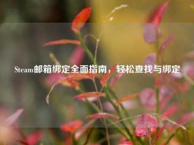 Steam邮箱绑定全面指南，轻松查找与绑定