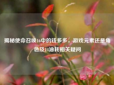 揭秘使命召唤16中的钱多多，游戏元素还是角色及14油耗相关疑问