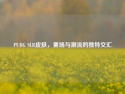 PUBG SLR皮肤，赛场与潮流的独特交汇