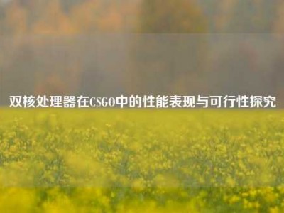 双核处理器在CSGO中的性能表现与可行性探究