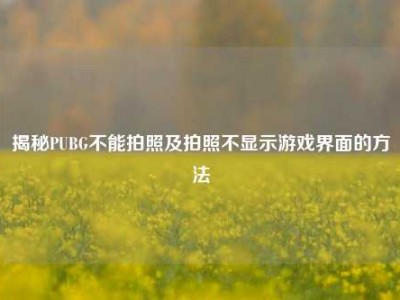 揭秘PUBG不能拍照及拍照不显示游戏界面的方法
