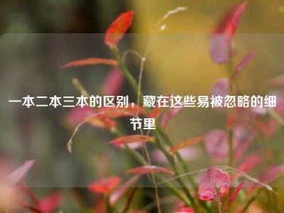 一本二本三本的区别，藏在这些易被忽略的细节里