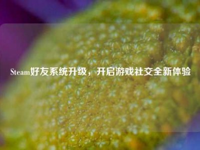 Steam好友系统升级，开启游戏社交全新体验