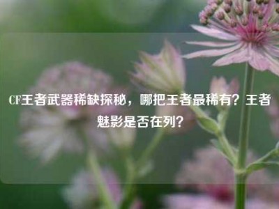CF王者武器稀缺探秘，哪把王者最稀有？王者魅影是否在列？