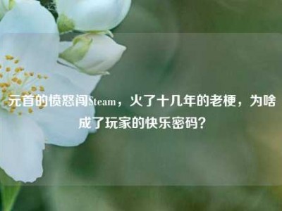 元首的愤怒闯Steam，火了十几年的老梗，为啥成了玩家的快乐密码？
