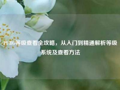 PUBG等级查看全攻略，从入门到精通解析等级系统及查看方法